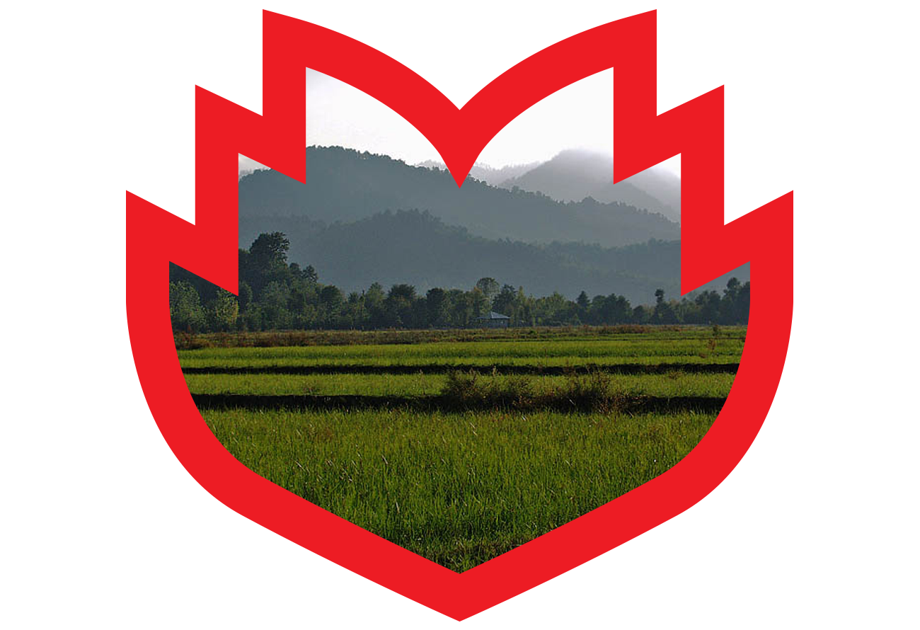 field